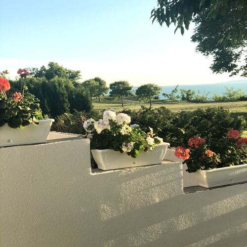 Sirály Köz Nyaraló Balatonvilágos  3