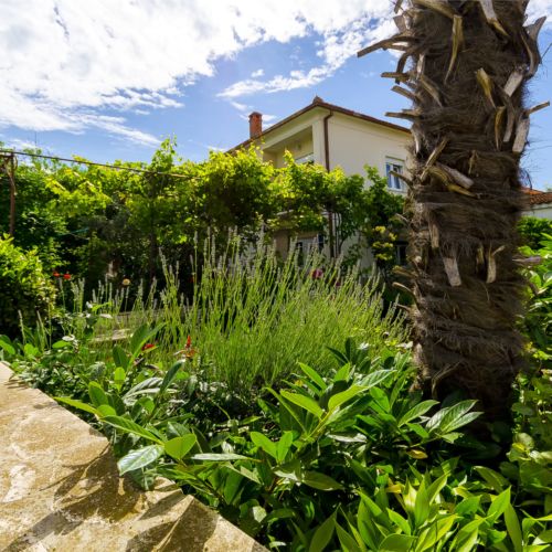Apartments Vinko Trogir  4