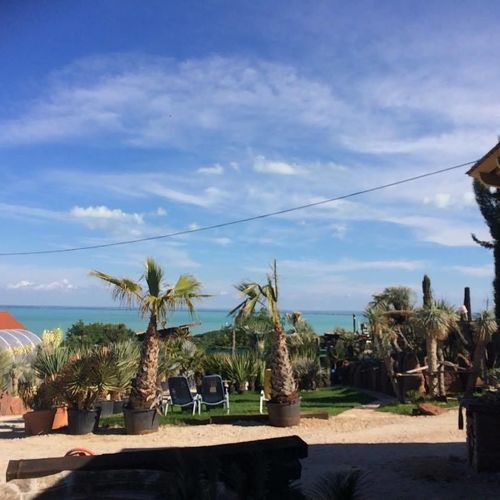 Egzotikus Kert Bungalók Balatonalmádi  2