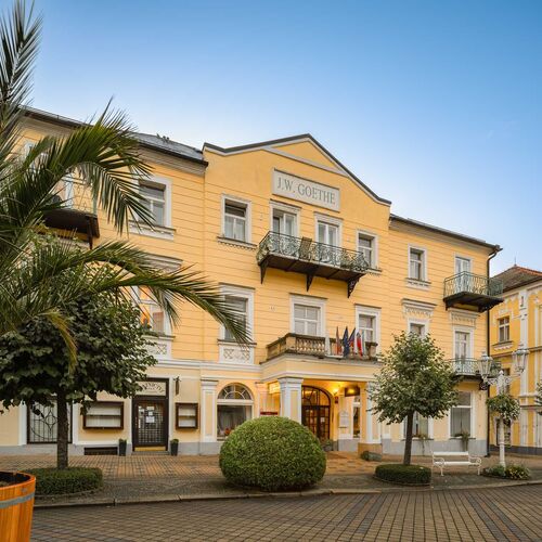 Spa & Medical Goethe Františkovy Lázně