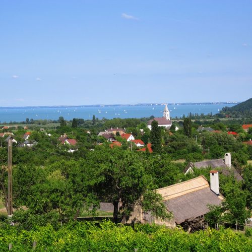 Öreghegyi Vendégház Aszófő  3