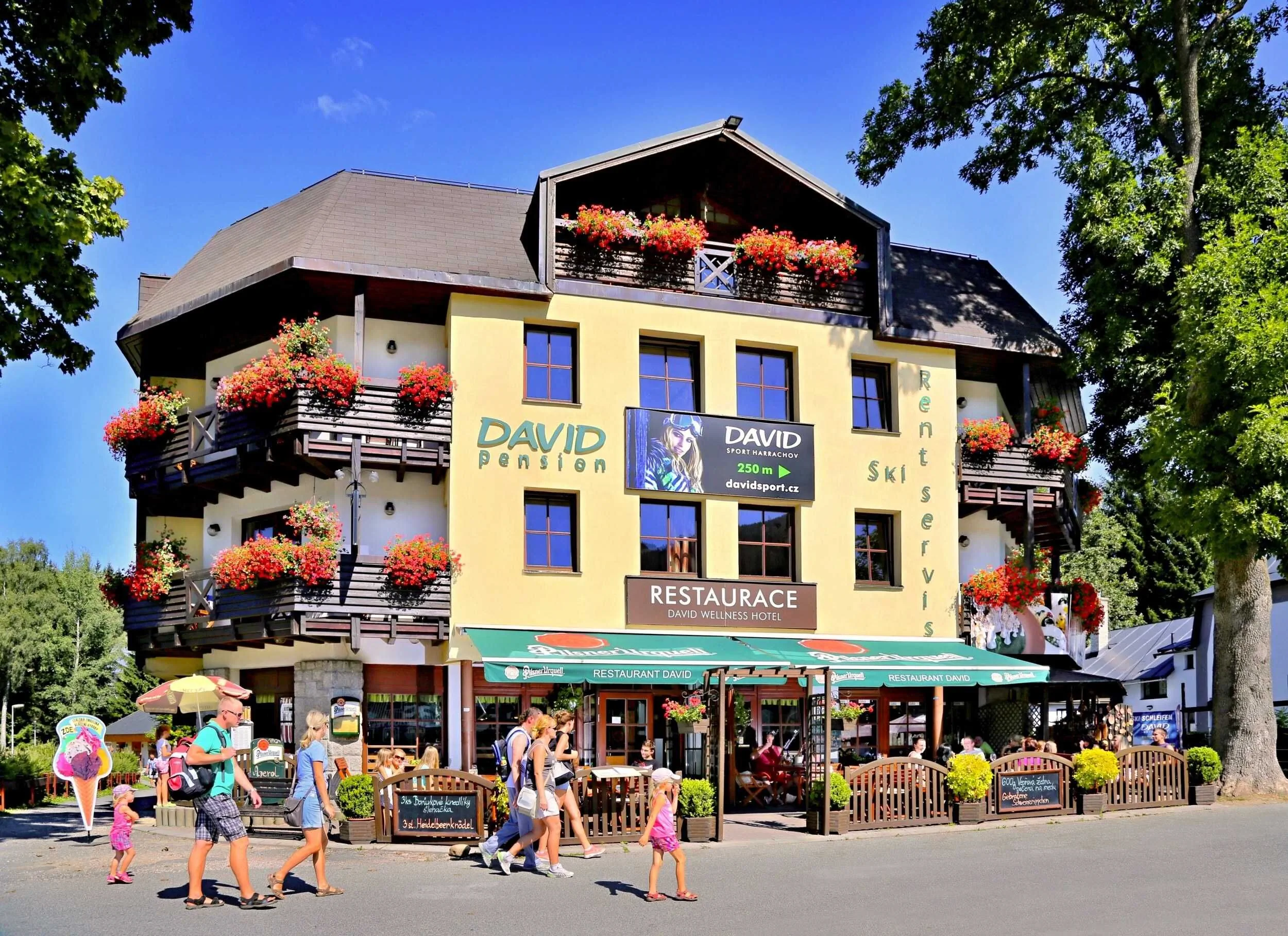 David wellness hotel Harrachov