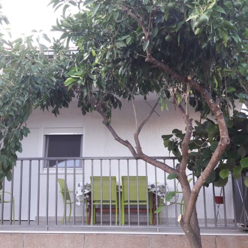 Apartment Branko Vinisce  3