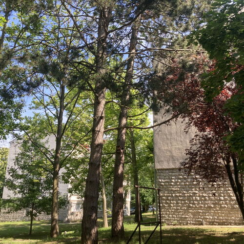 A társasház bejárata előtti rész