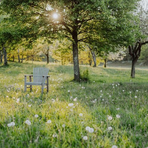 májusi kert, virágzó gyümölcsfákkal