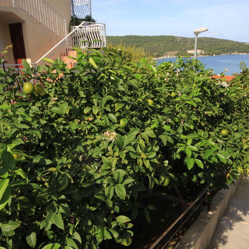Apartmanok Parkolóhellyel Vis - 8448  3