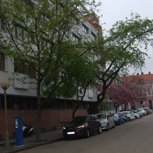 A h&aacute;z előtti parkol&oacute; 