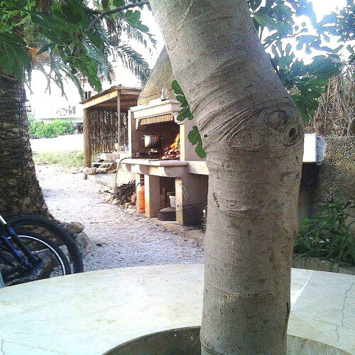 Apartmanok Parkolóhellyel Sumartin, Brac - 11926 Sumartin  3