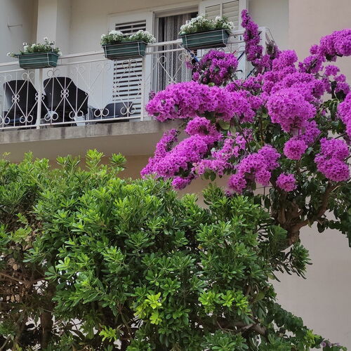 Apartmanok A Tenger Mellett Trpanj, Peljesac - 14309 Trpanj  2