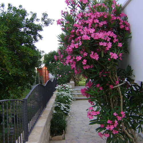 Apartmanok A Tenger Mellett Ljubac, Zadar - 14593 Ljubač  3