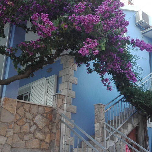 Apartmanok A Tenger Mellett Maslinica, Solta - 14748 Maslinica  4