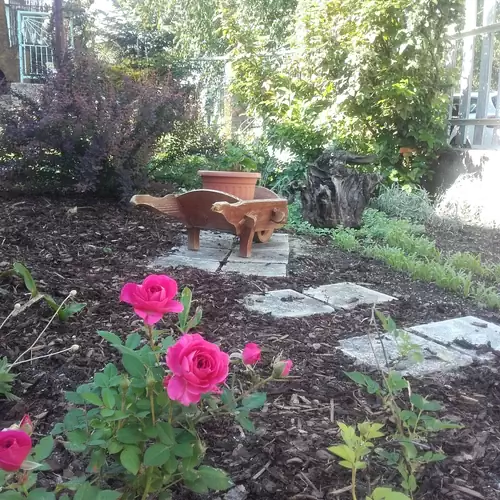 Menta Apartman Mezőkövesd 012 kép