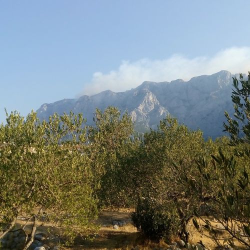 Apartment Adriana Makarska  3