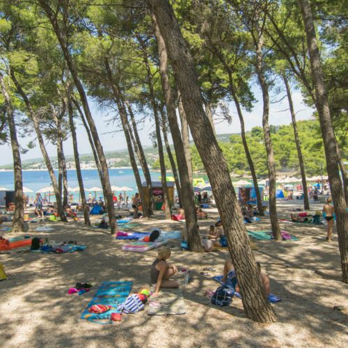 Apartments and Room Mate-Mare Primosten  4