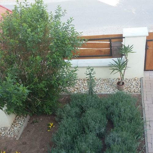 Levendulás Apartman Balatonalmádi  3