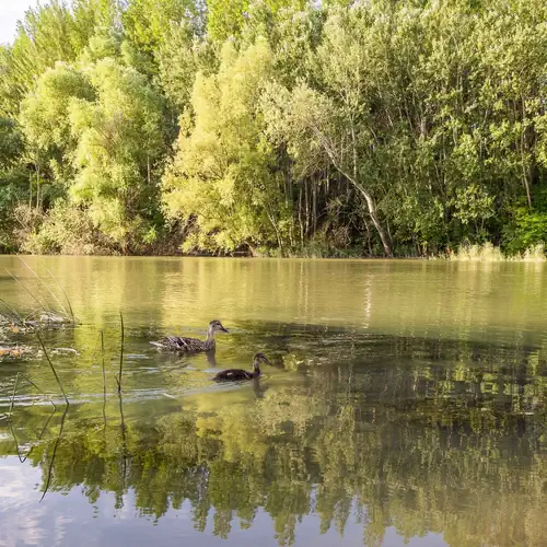 Regia Panzió és Étterem Halászi 008 kép