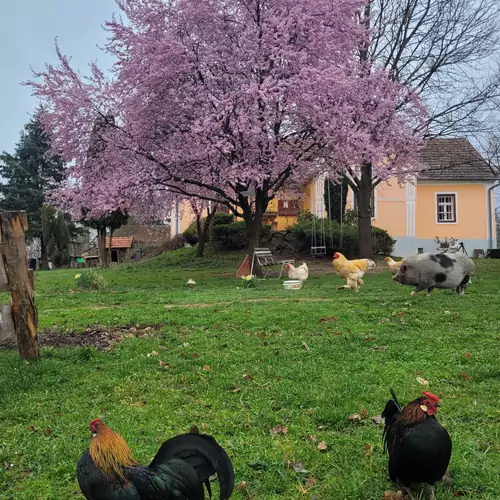 Az Őrségi Boronaház Porta Szalafő 011 kép