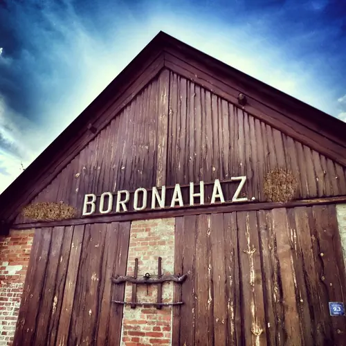 Fogad&oacute;&eacute;p&uuml;let&uuml;nk