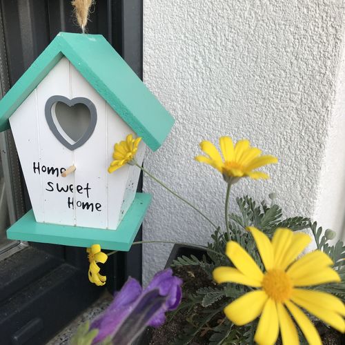 Apartmani Lesjak Punat  4