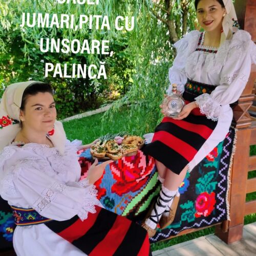 Pensiunea Cris-Mona Săpânța