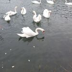 Wellness részleg, relaxáció