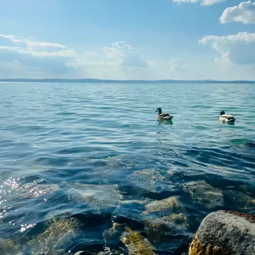 Világos Hotel Balatonvilágos 018 kép