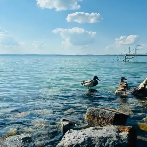 Világos Hotel Balatonvilágos 021 kép