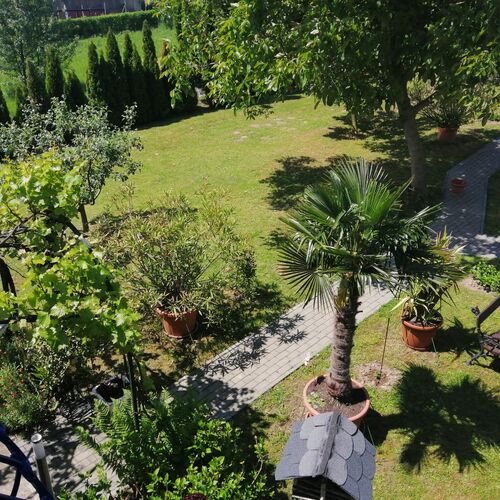 Marianna Apartman Cserszegtomaj  3