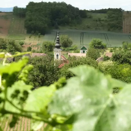 Napkorong Vendégház Feked 019 kép