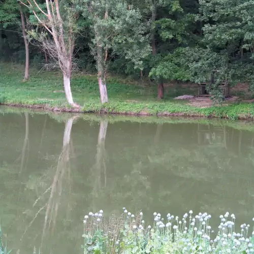 Napkorong Vendégház Feked 027 kép