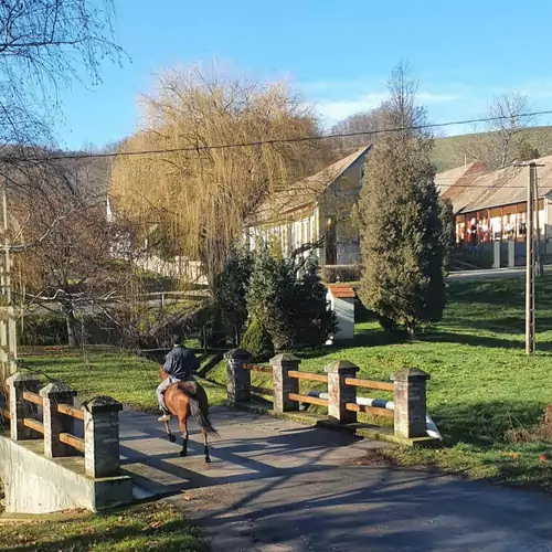 Napkorong Vendégház Feked 017 kép