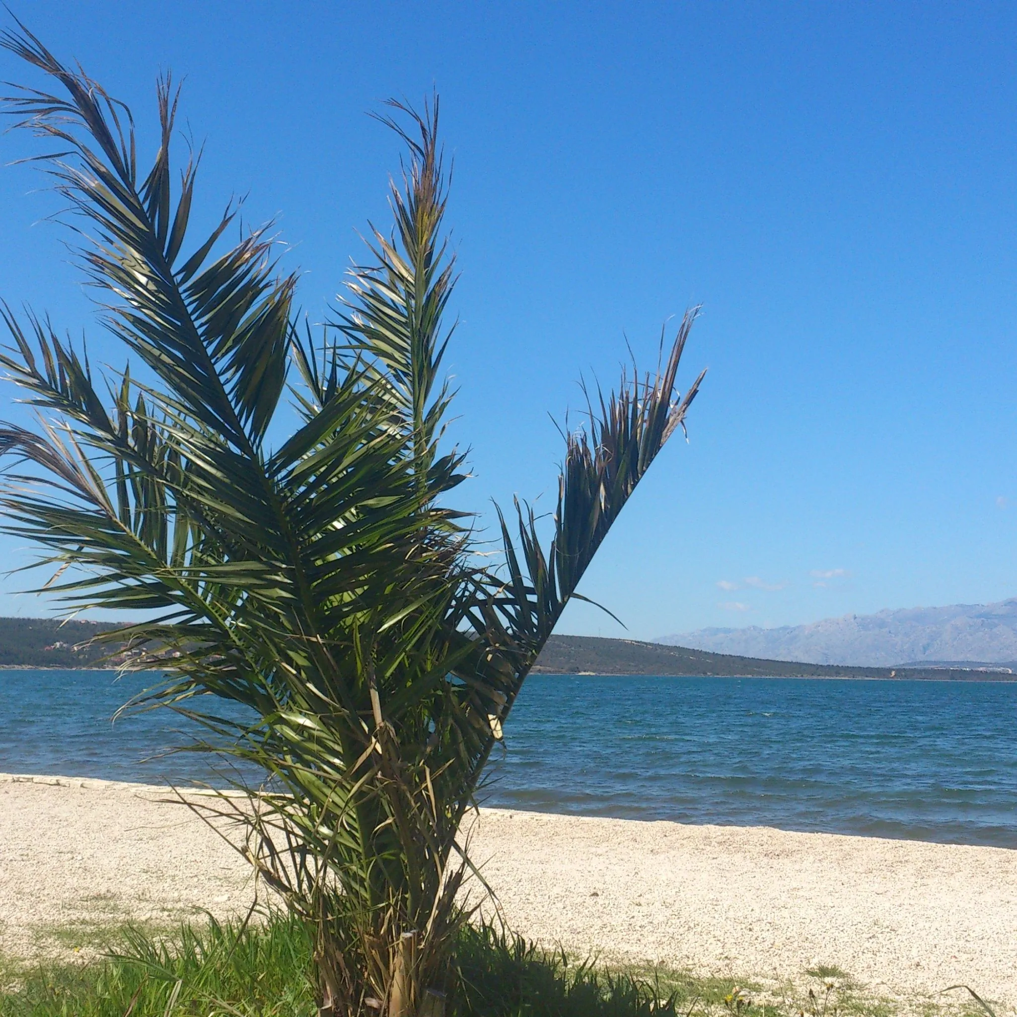 Apartmani Vlado Gornji Karin