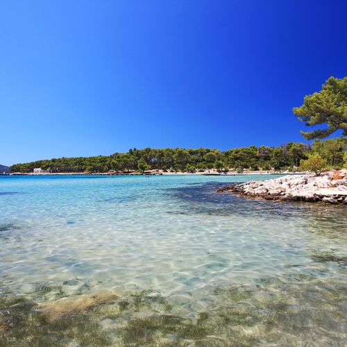 Crvena Luka Hotel & Resort Biograd na Moru ★★★★ 3