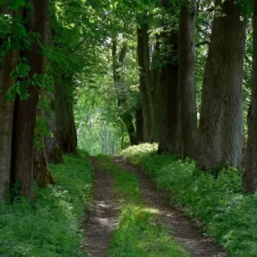 Agroturystyka - dom 3 km od jeziora Hańcza Okliny Okliny 10
