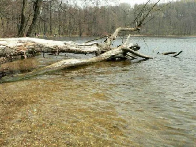 Agroturystyka - dom 3 km od jeziora Hańcza Okliny Okliny 10