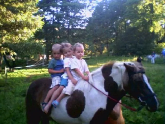 Ziemowit Gospodarstwo Agroturystyczne-Pensjonat z salą kominkową Lubawka Niedamir&oacute;w 56