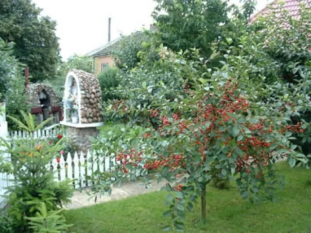 Gospodarstwo Agroturystyczne  Ogińscy Giełczyn Giełczyn 5b