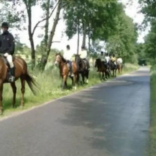 GOSPODARSTWO AGROTURYSTYCZNE DIANA - Oferta dla os&oacute;b indywidualnych i grup Goręczyno Kasztelańska 97