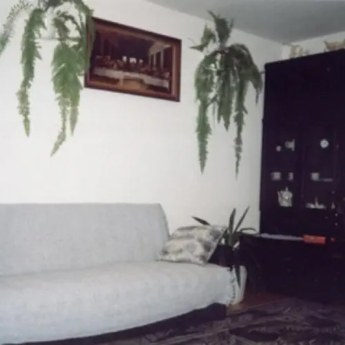 Agrodomek Rokietnica Rokietnica 29 A