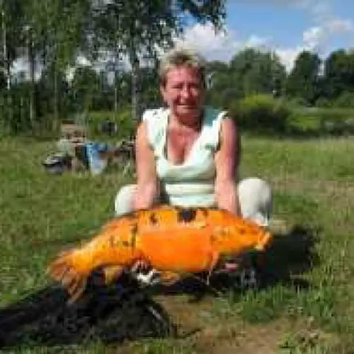 Agroturystyczne gospodarstwo rybne Nad Stawami Gryf&oacute;w Śląski Nad Stawami 1