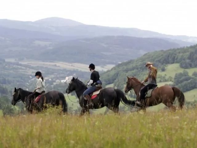 Stanica Jesion&oacute;w Lądek-Zdr&oacute;j Orłowiec 14