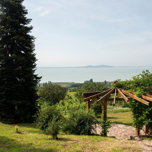 Folly Arborétum és Borászat