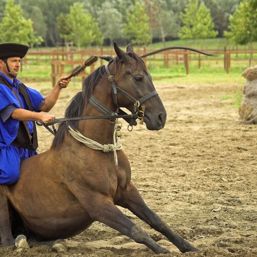 Történelmi lovasfesztivál | Keszthely