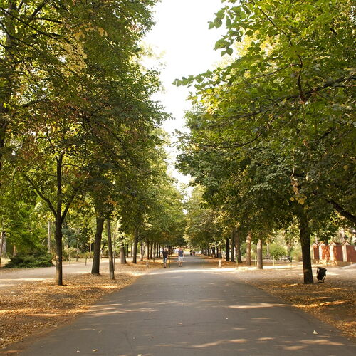 Medgyessy sétány | Debrecen