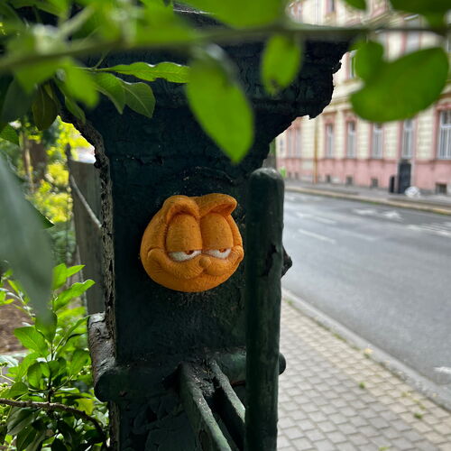Kolodko: Garfield | Budapest