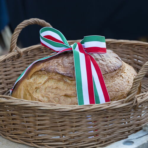 Új kenyér ünnepe 2023 | Kaszaper