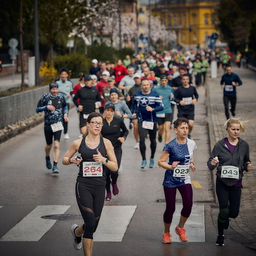 Cerbona Fehérvár Félmaraton 2024 | Székesfehérvár