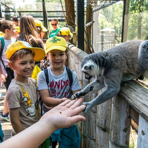 Nyíregyházi Állatkert - Sóstó Zoo | Nyíregyháza