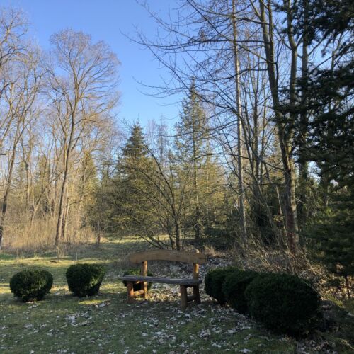 Kecskeméti Arborétum | Kecskemét