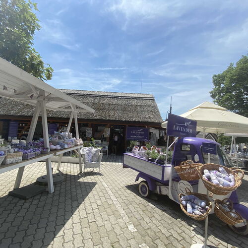 Lavender Shop | Tihany